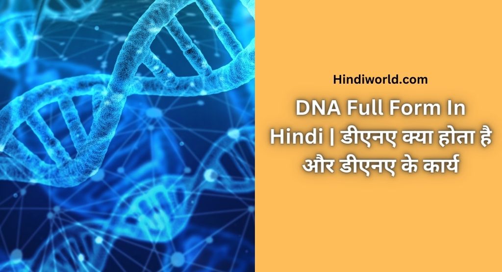 DNA Full Form In Hindi